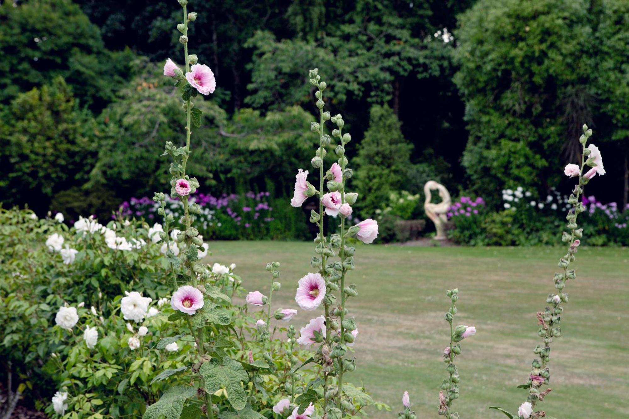 Karetu Downs Farm Stay Hawarden Exteriér fotografie