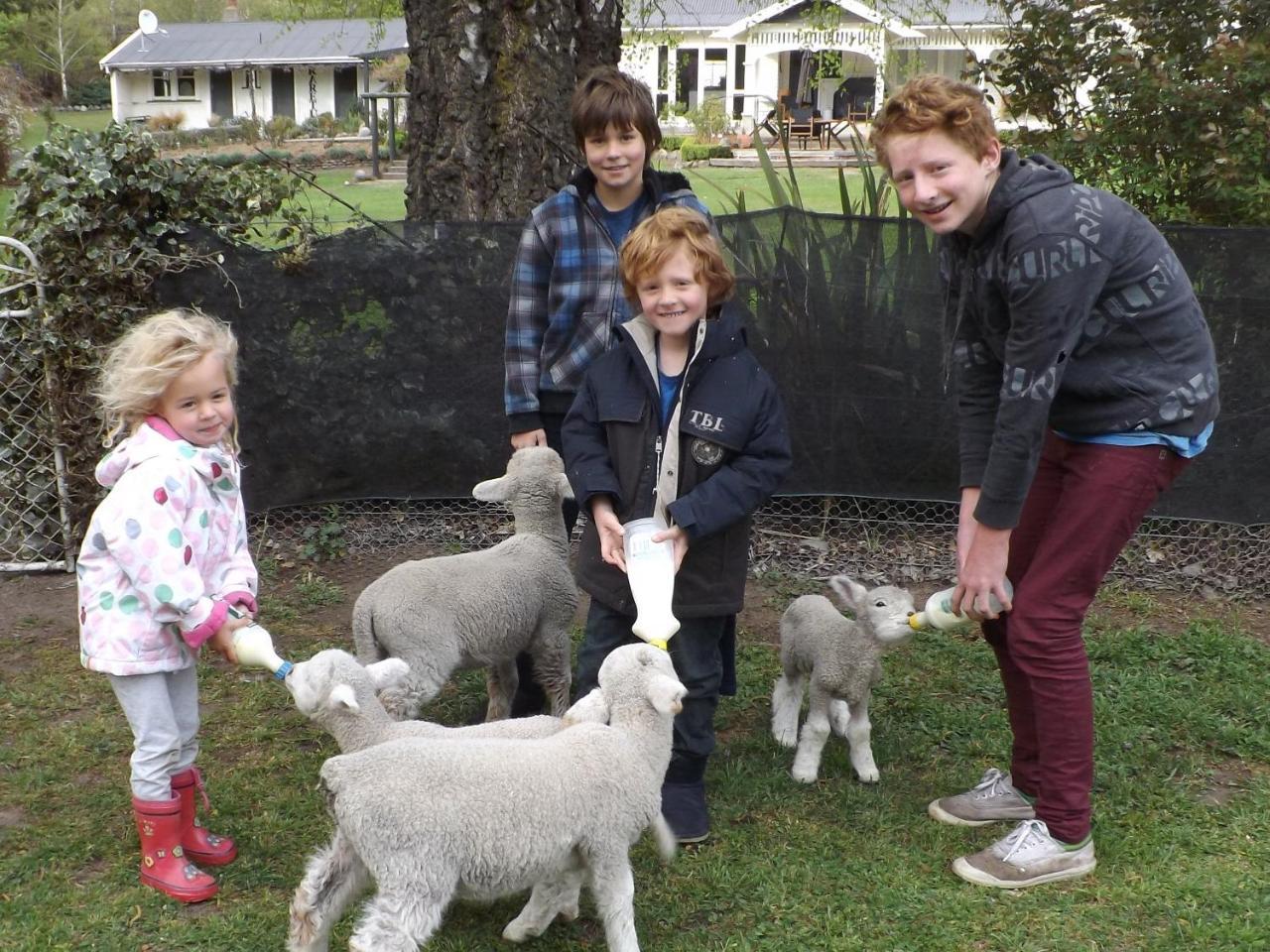 Karetu Downs Farm Stay Hawarden Exteriér fotografie